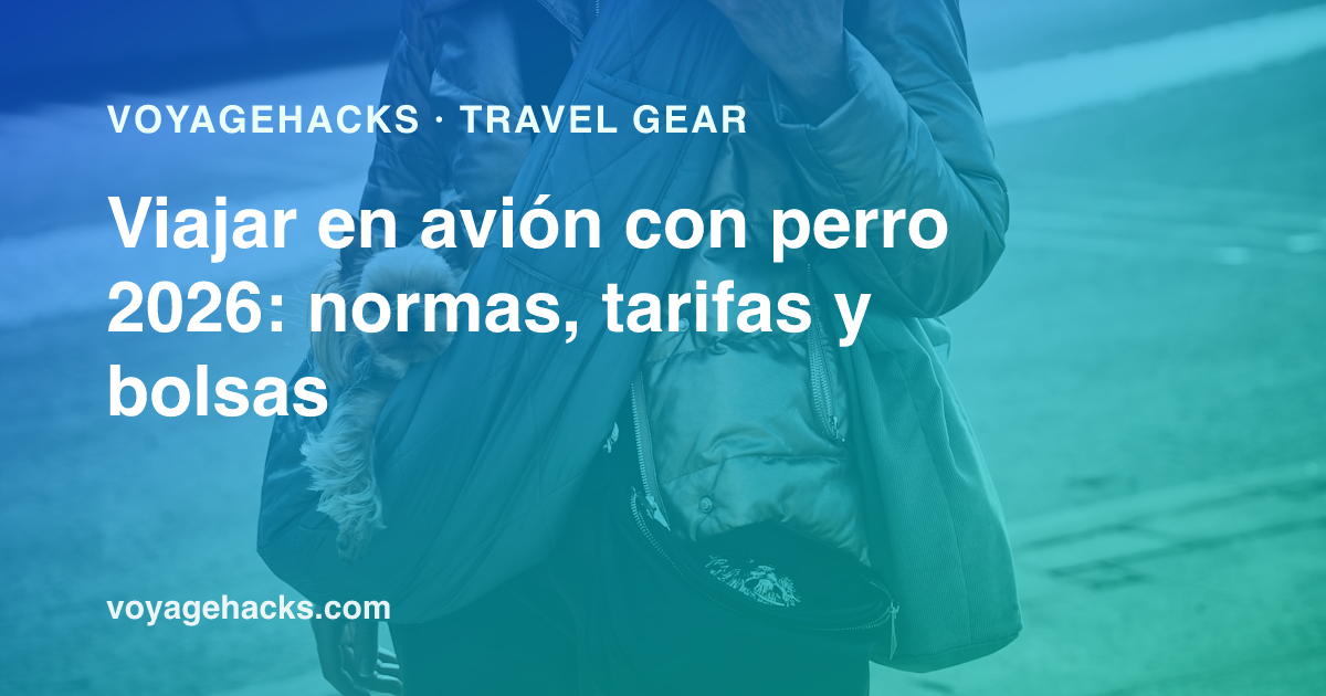 Perro pequeño asomado desde un transportín blando