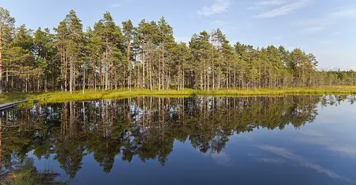 Estonia