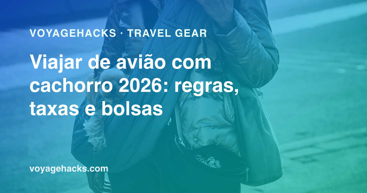 Cachorro pequeno espiando de uma bolsa de transporte macia