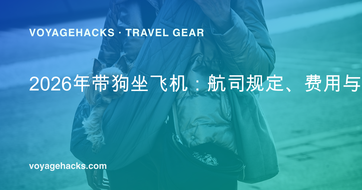 小型犬从软质宠物航空箱里探出头